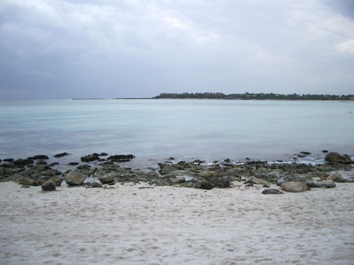 44)